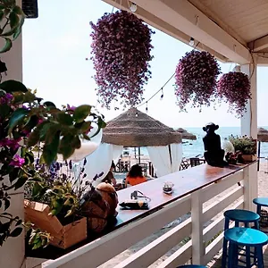  Bed and breakfast Purple Italy Italia